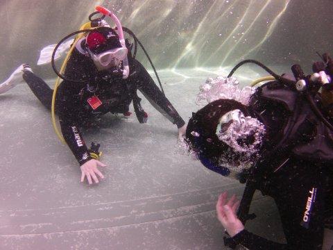 Rescue Diver Schwimmbadausbildung